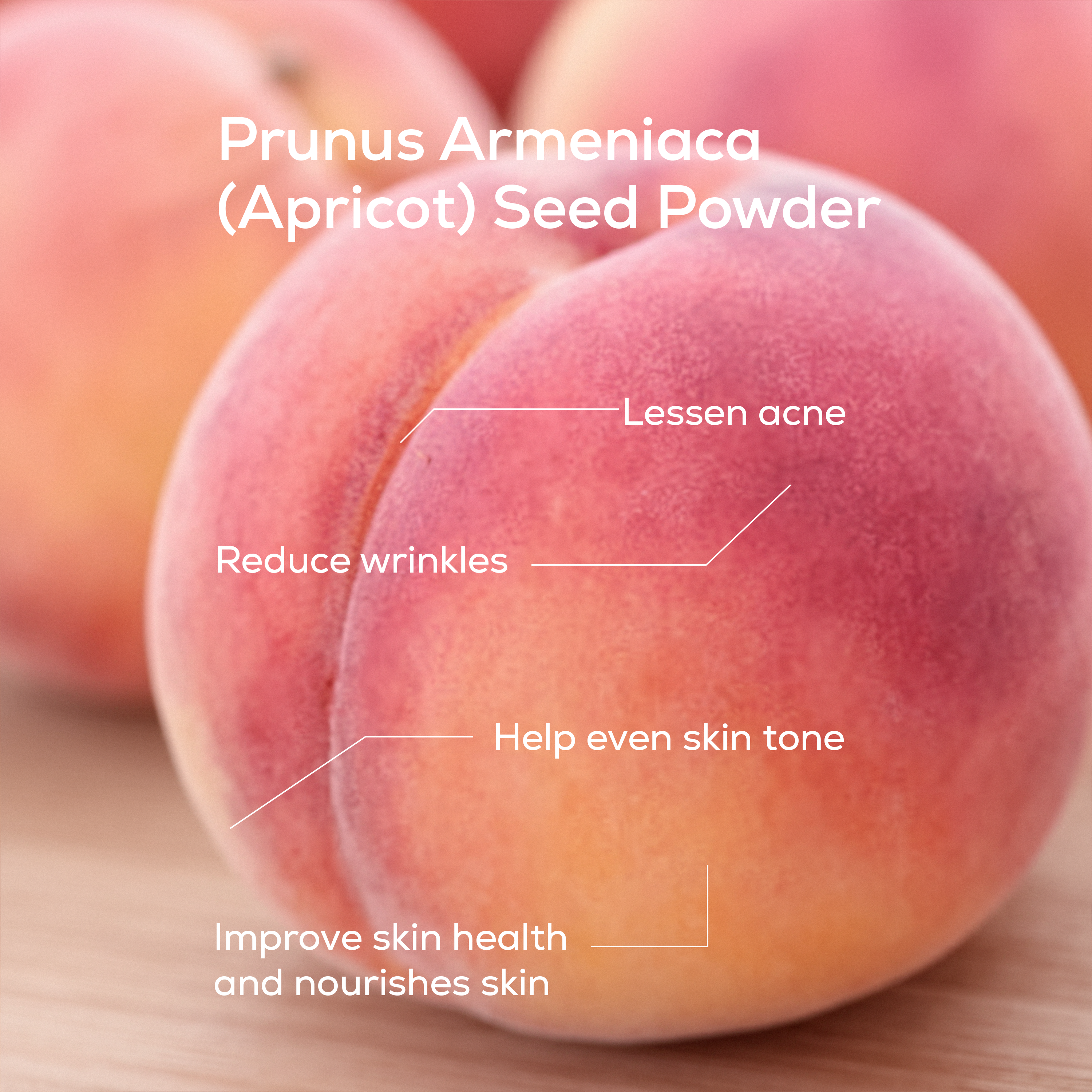 Daily Repair Crème